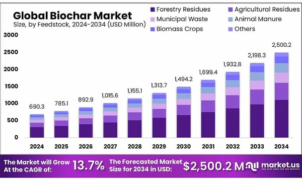 The Biochar Blind Spot: Saving the Climate, Losing the Soil - Graphic Illustration 1