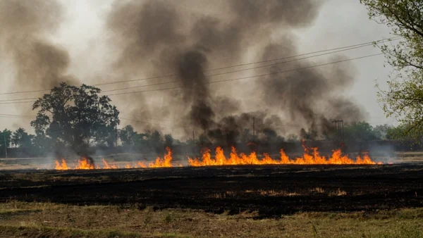 The Perennial Infernal: How India’s Agri-Biomass Crisis Mutated into a Year-Round Climate Engine - Graphic Illustration 3
