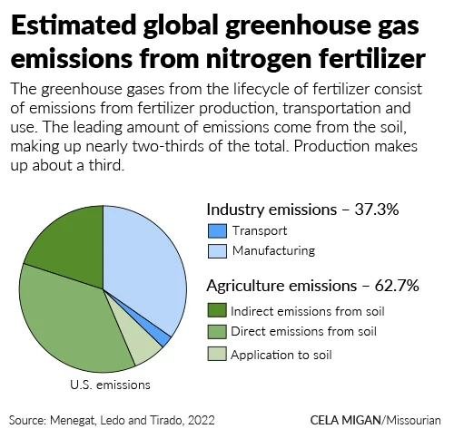 The Nitrogen Trap: India’s Dangerous Addiction to Urea and the Erosion of Agronomic Sovereignty - Graphic Illustration 1