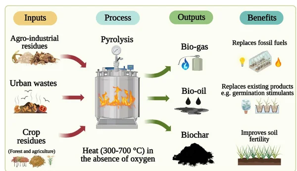 Gas-tronomical Challenges: Breaking Down India’s Biogas Supply Chain - Graphic Illustration 2