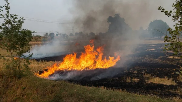 The Perennial Infernal: How India’s Agri-Biomass Crisis Mutated into a Year-Round Climate Engine - Graphic Illustration 4