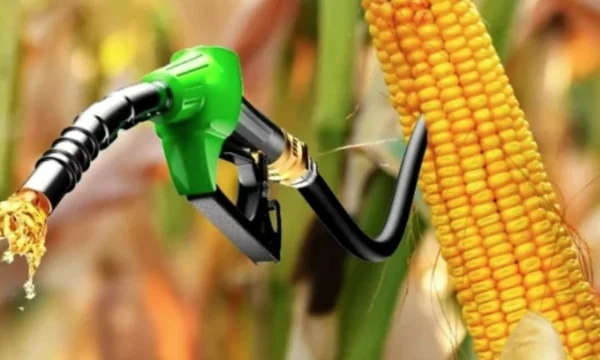 Read more about: The Maize Mirage: Deconstructing the Asymmetric Costs of India’s Ethanol Blending Ambition