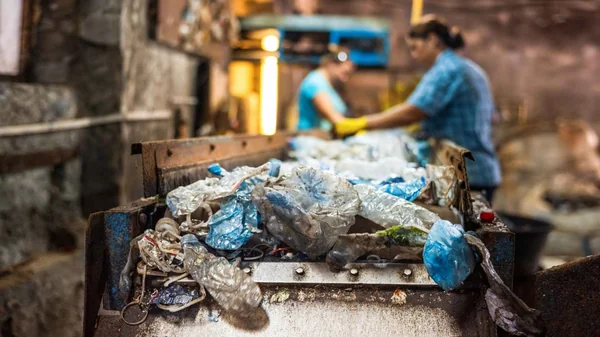 Incinerating the Future: The Toxic Friction Inside India’s Waste-to-Energy Illusion - Graphic Illustration 2