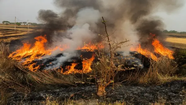 The Perennial Infernal: How India’s Agri-Biomass Crisis Mutated into a Year-Round Climate Engine - Graphic Illustration 2