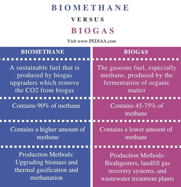 Gas-tronomical Challenges: Breaking Down India’s Biogas Supply Chain - Graphic Illustration 3