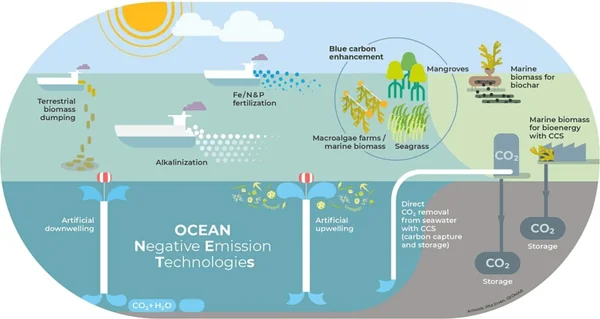 The Marine Abyss as a Carbon Vault: Assessing the Ecological and Economic Balance of Ocean Geoengineering - Graphic Illustration 2